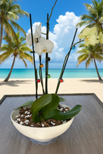Load image into Gallery viewer, Flowers
