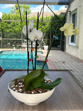 Load image into Gallery viewer, Flowers
